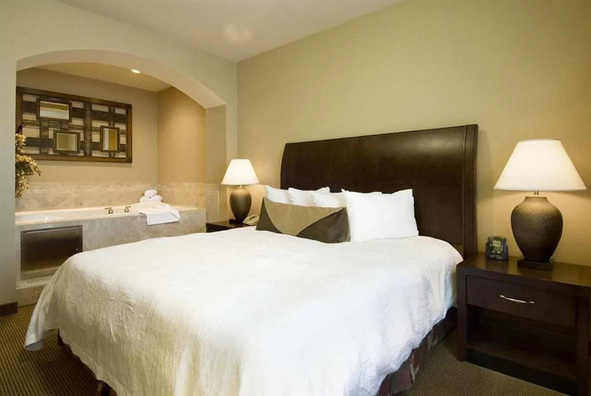 Hilton Garden Inn Downtown