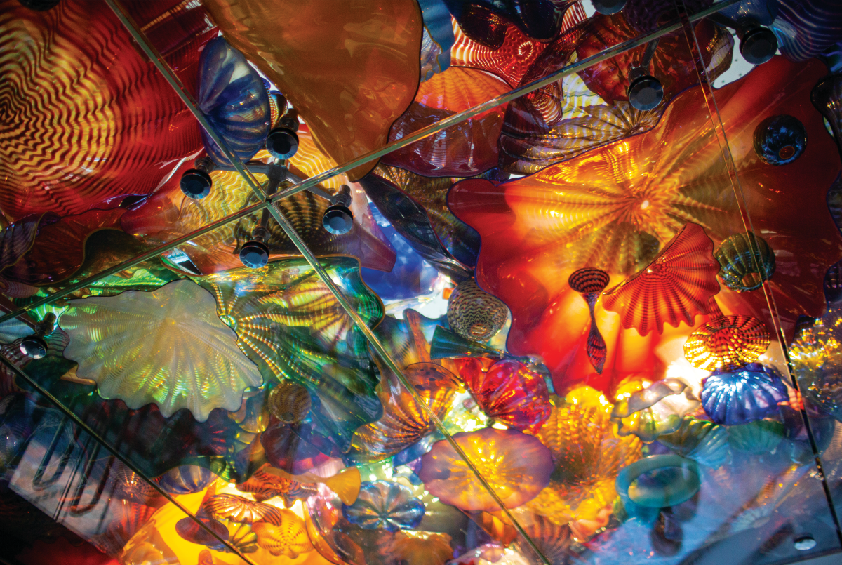 A Chihuli glass sculpture is photographed from underneath at the Wichita Art Museum
