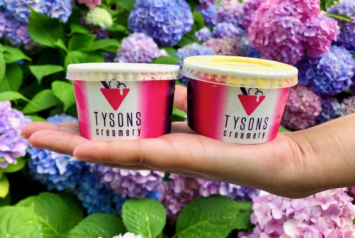 Tysons Creamery - Made in Fairfax - Holiday Gift Guide 2023 - Food Ice Cream