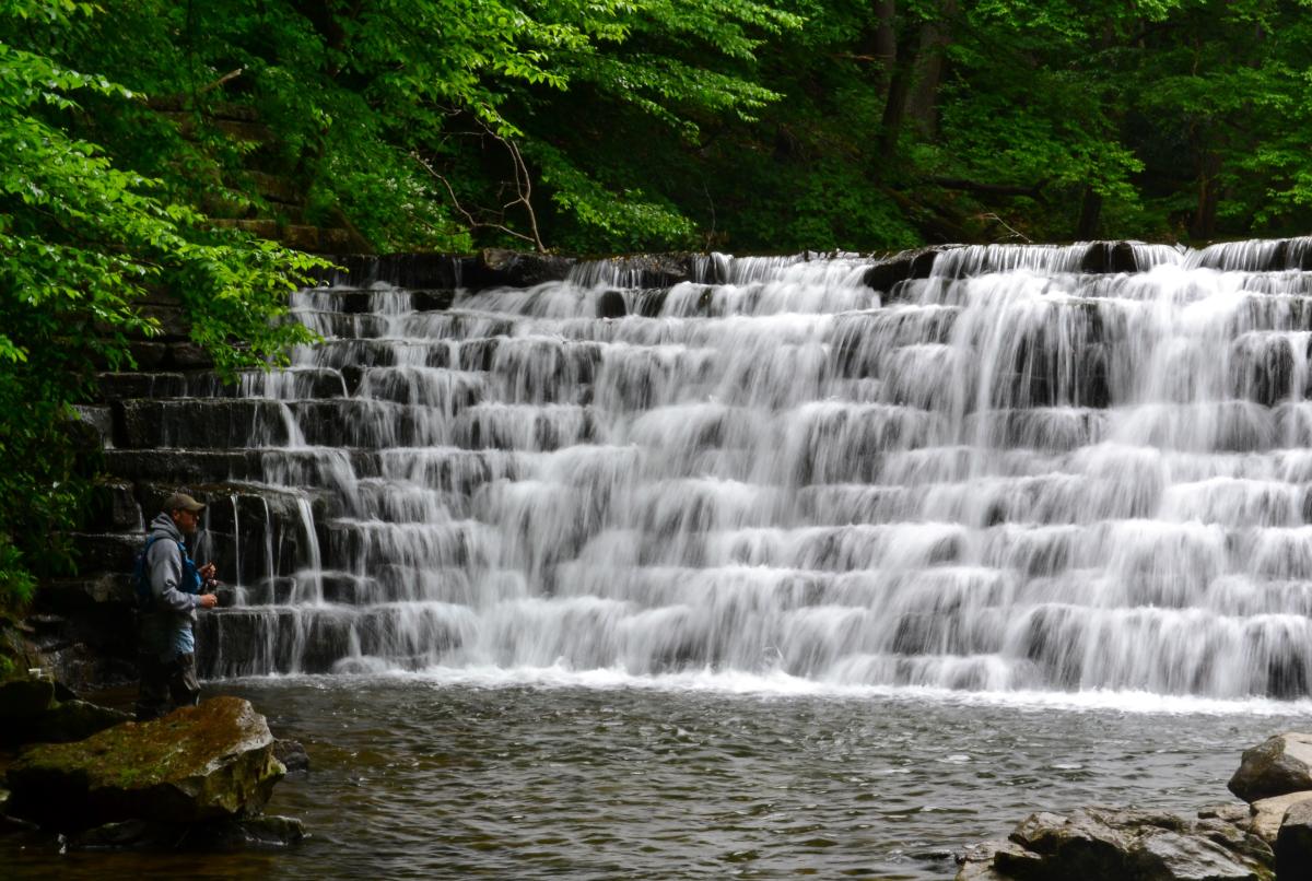 Laurel Hill State Park