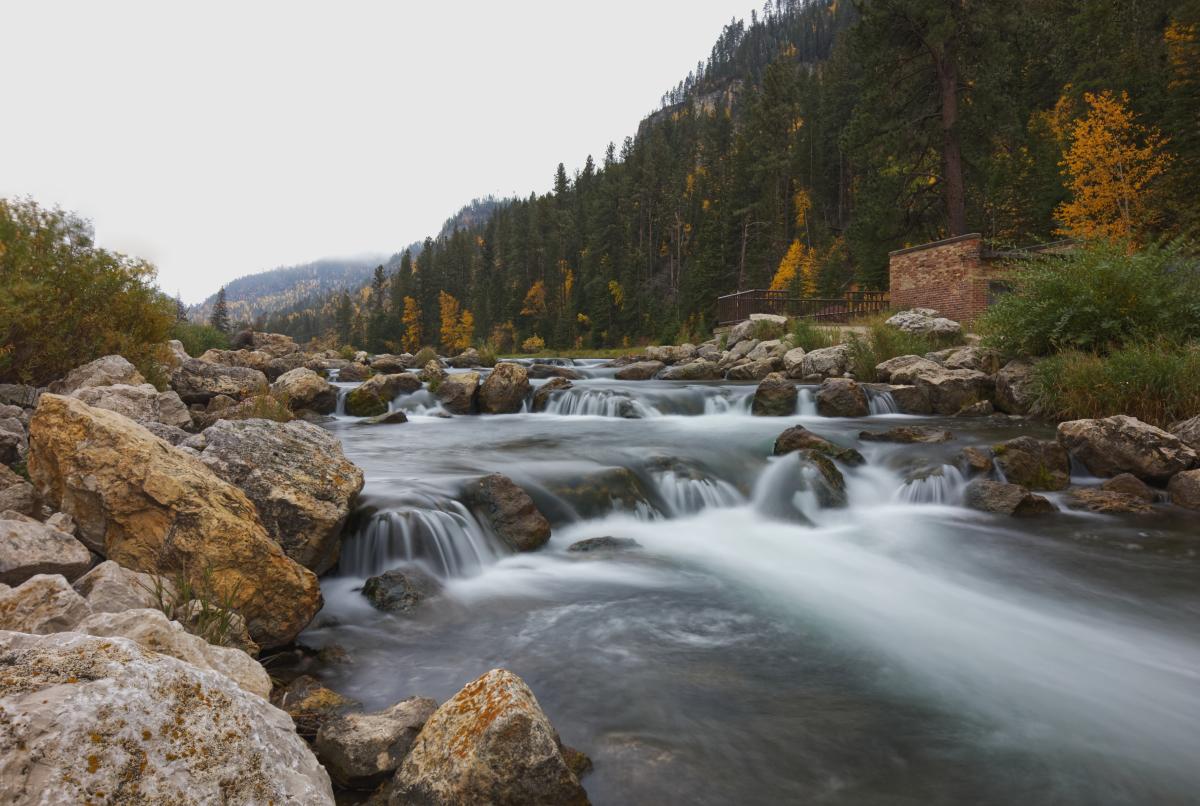 A serene mountain stream flows over smooth rocks surrounded by autumn foliage, with pine trees and misty hills in the background, conveying tranquility.