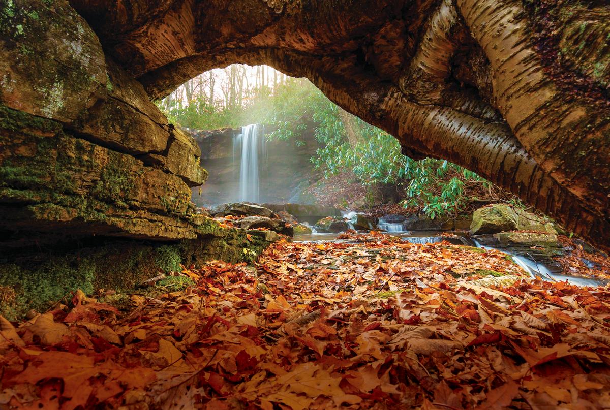 Cole Run Falls in Forbes State Forest features incredible views any time of year