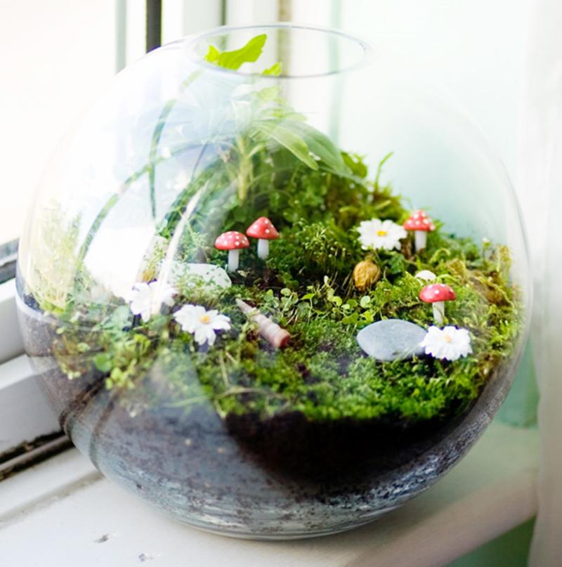 Ambler Flower Shop Terrarium