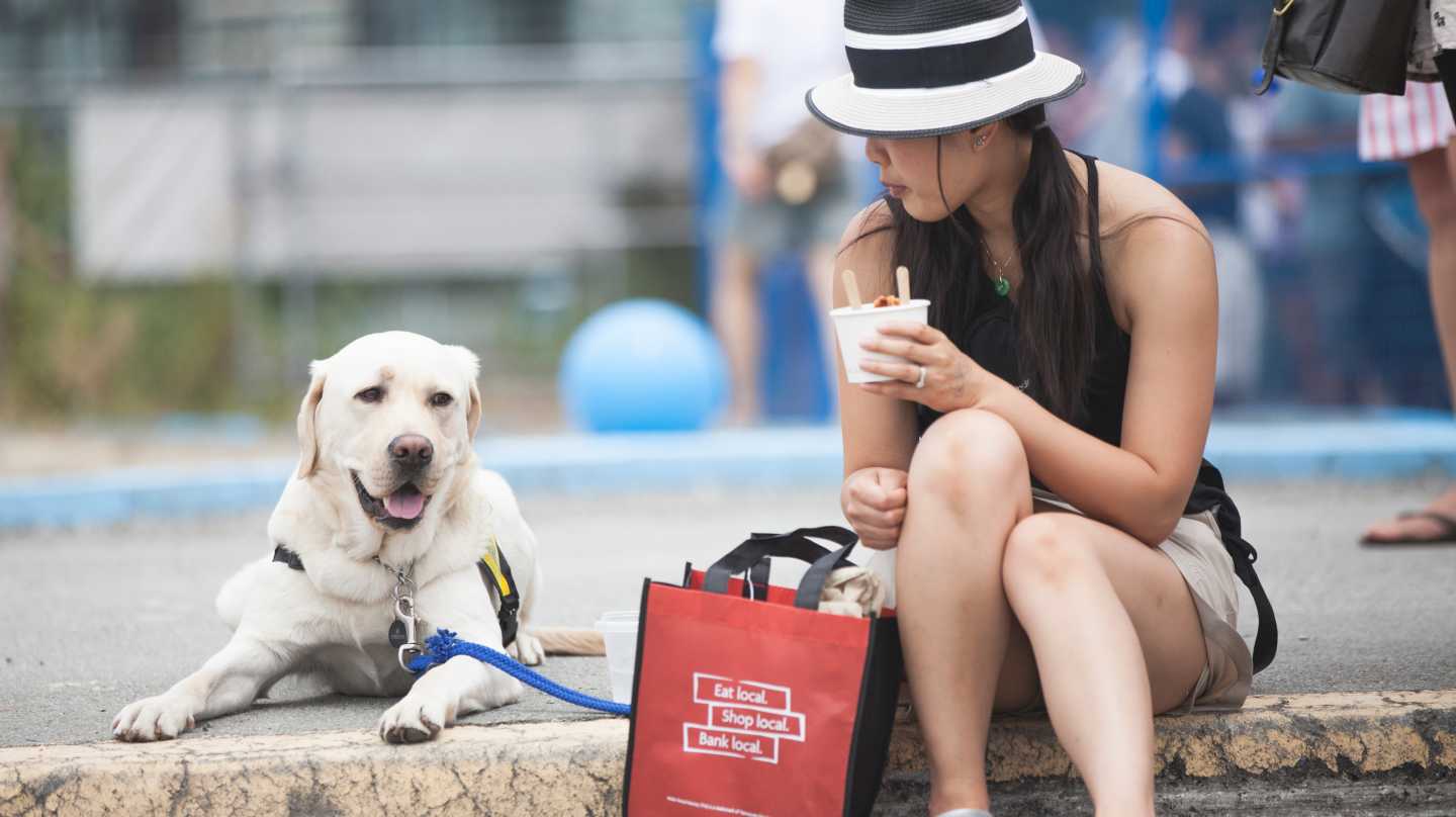 Dog