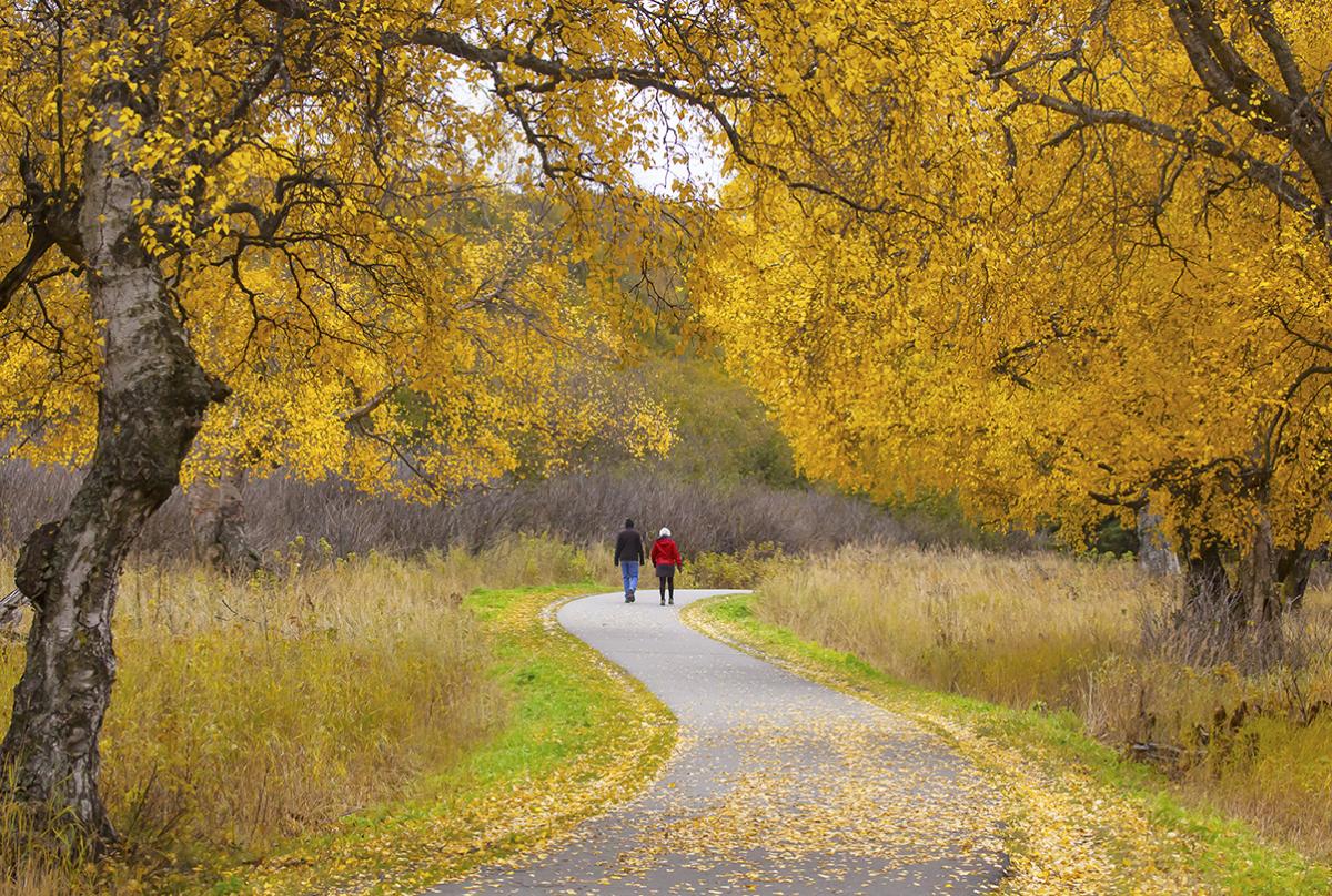 Fall Kincaid Park