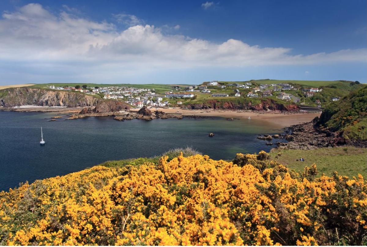 Coastal village with white houses on green hills overlooking a sandy beach. Foreground shows vibrant yellow flowers, under a bright blue sky.