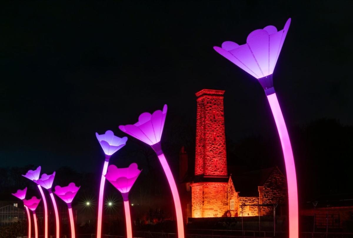 Flower installation at RHS Bridgewater Garden