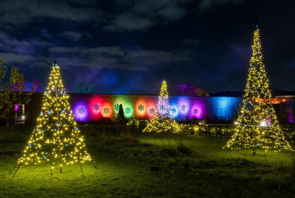 Light installation at RHS Glow