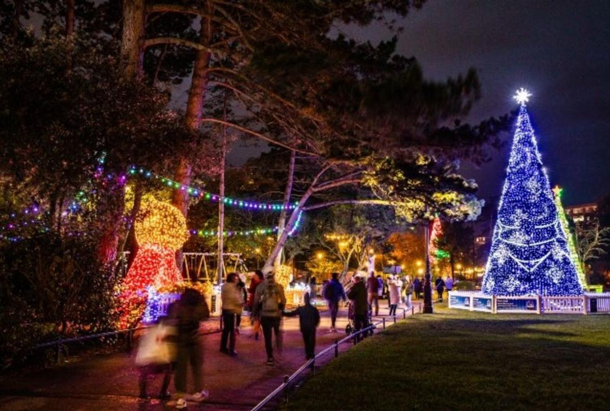 Lights and illuminations at Christmas Tree Wonderland, Lower Gardens, Bournemouth