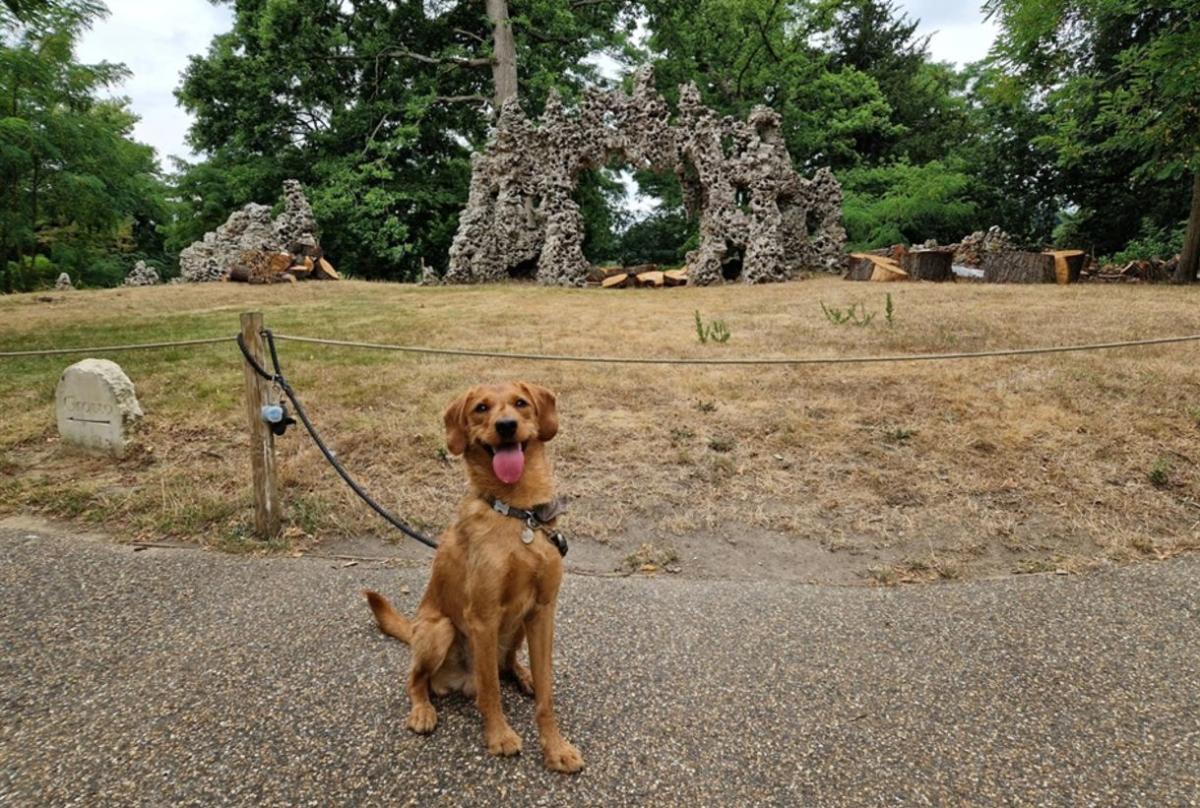 Painshill celebrates Surrey Day 2025