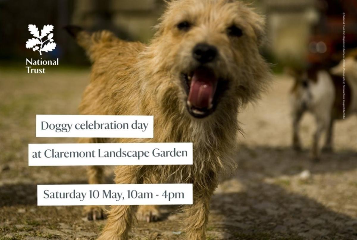 Doggy Day Celebrations at Claremont Landscape Garden in Esher