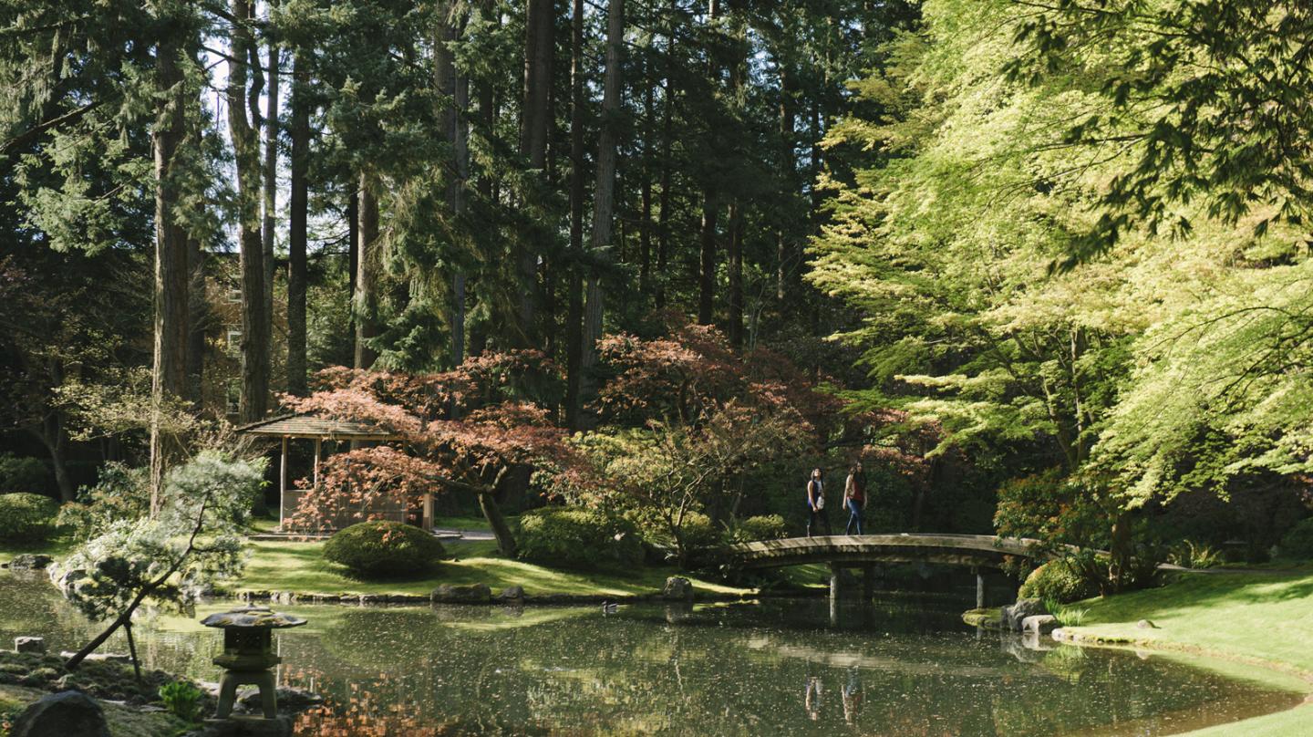 March Break Tours Available At Ubc Botanical And Nitobe Memorial