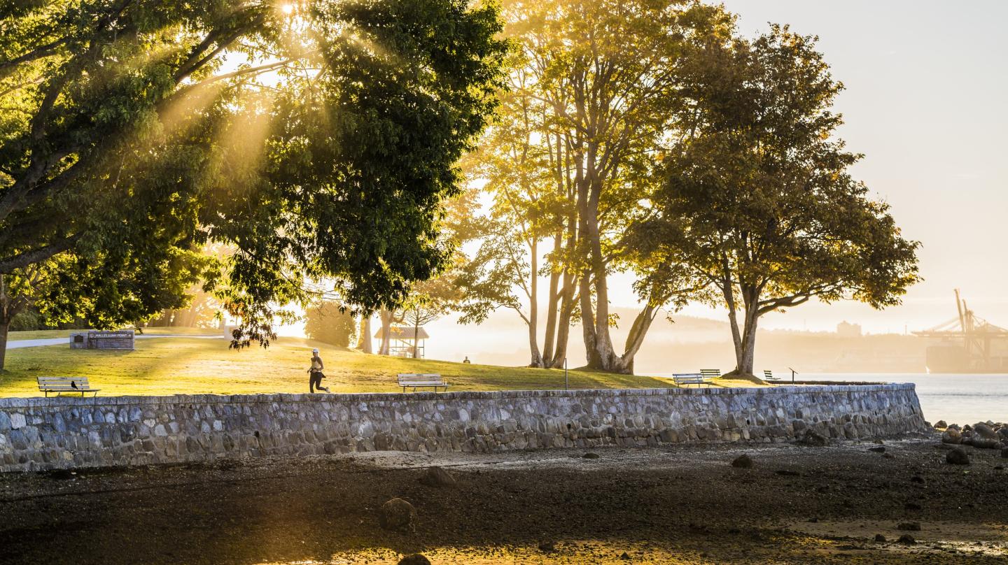 Can You Be Leaf It Vancouver Named City With The Largest Tree Canopy