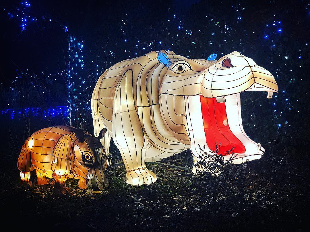 PNC Festival of Lights animal lanterns