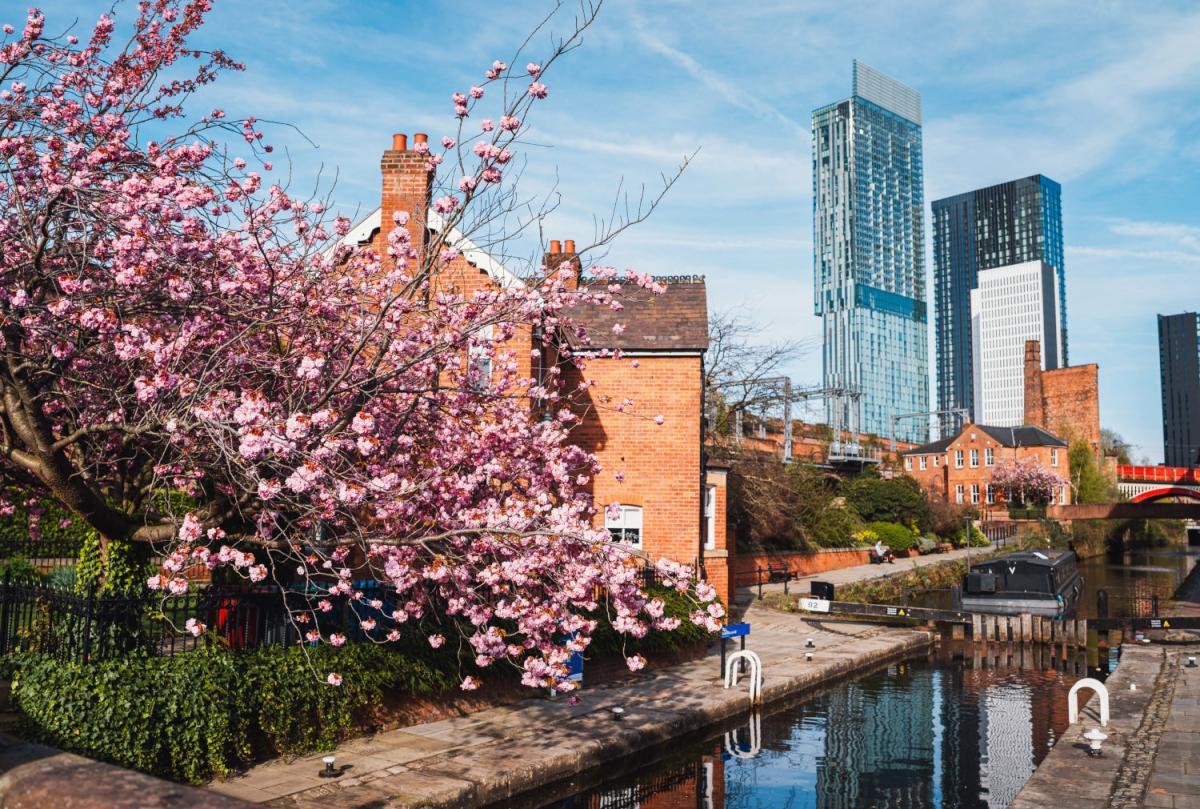 Image of Castlefield in Spring