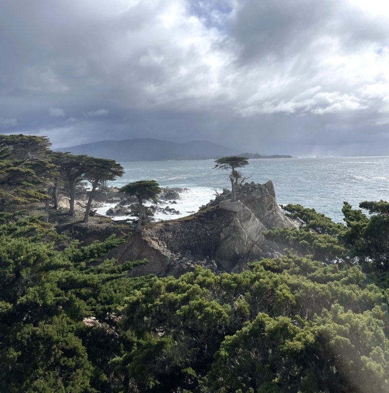 17 Things to Do on 17-Mile Drive Lone Cypress