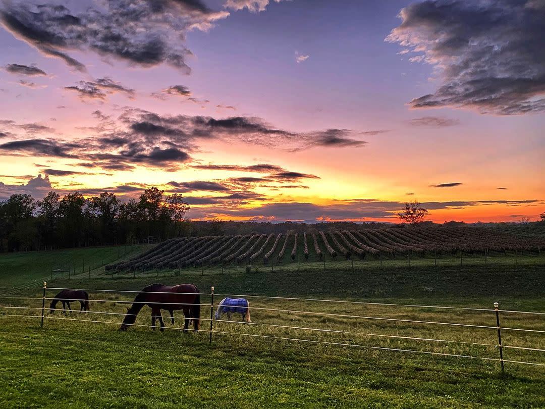 The Winery at Bull Run - Sunset - Horseback - Nature - @photobugadventures