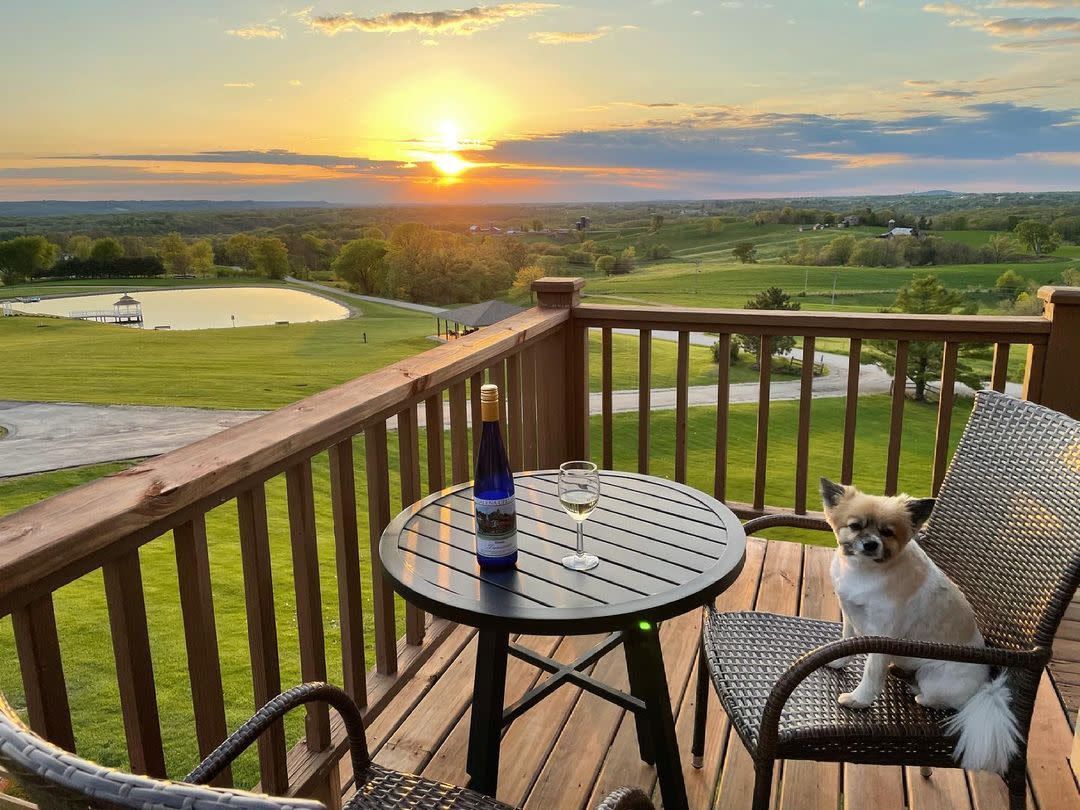 Dog watching sunset at LeFevre Inn