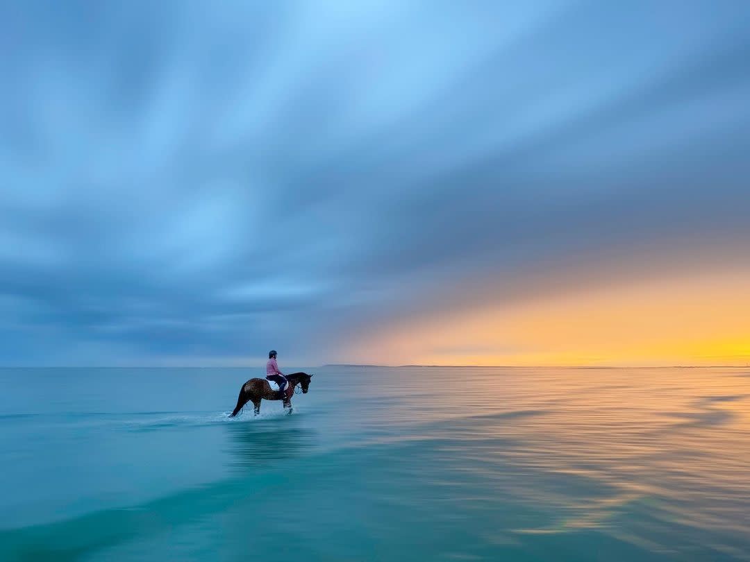 Horse in sea in West Wittering