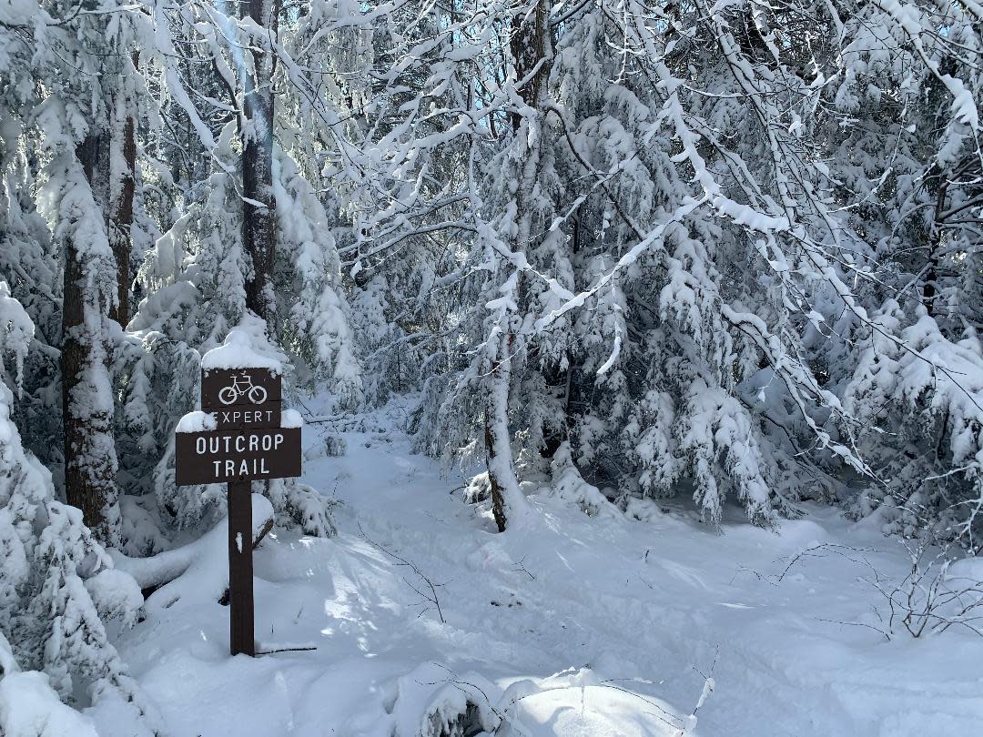 Laurel Summit Outcrop Trail