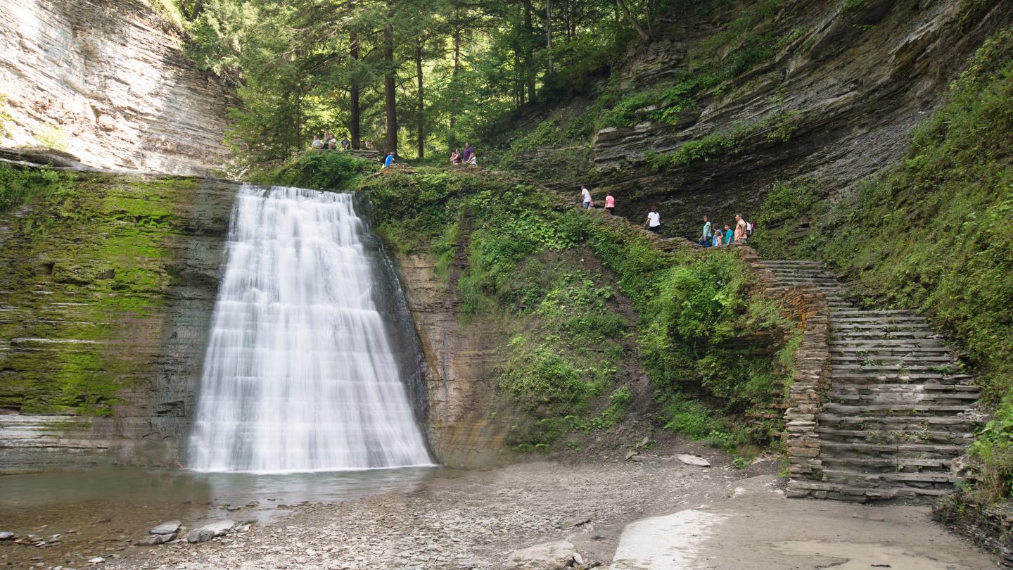 Stony Brook