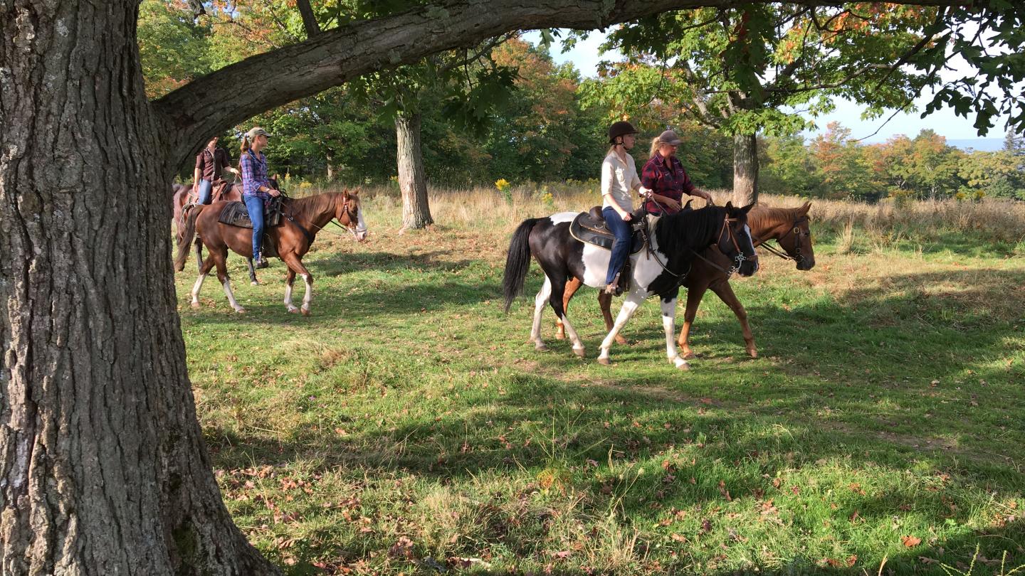 Horseback Riding in Finger Lakes National Forest