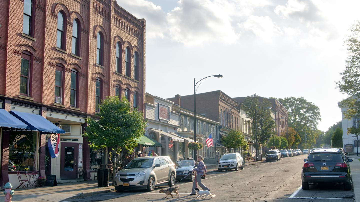 Hammondsport Small Town Dog Walking