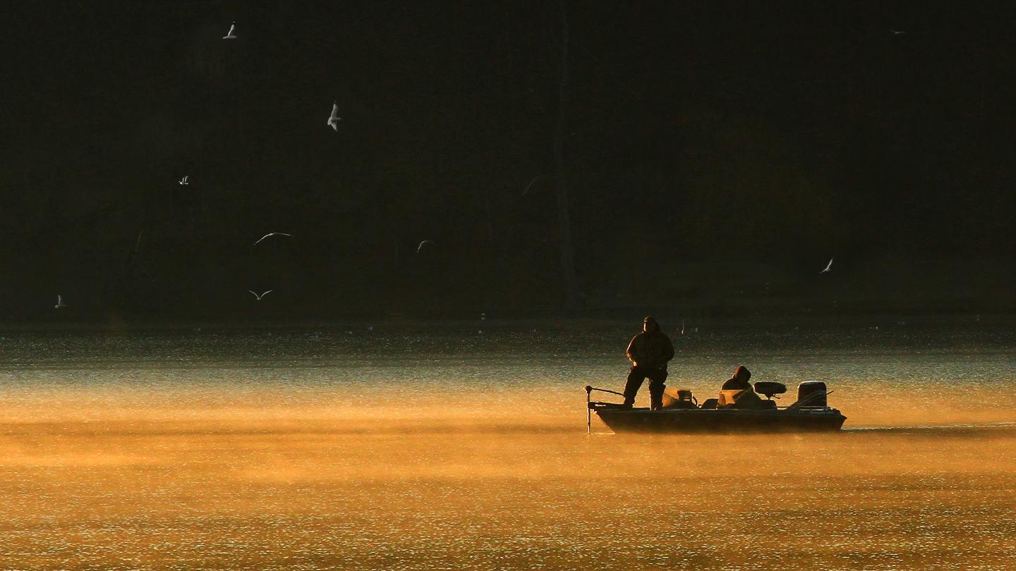 Gulls Morning Fishing on Keuka Lake