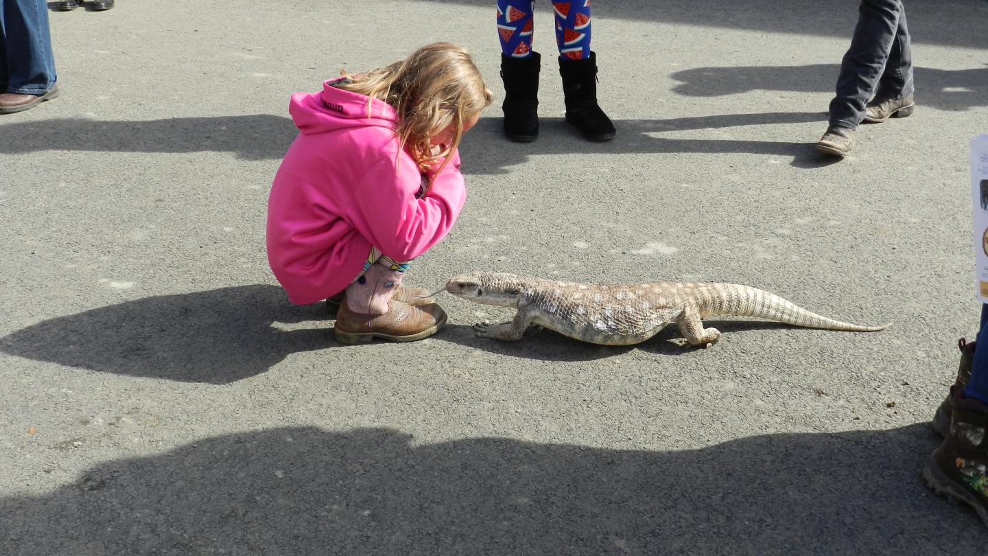 Southern Tier Outdoor Show Kid With Lizard