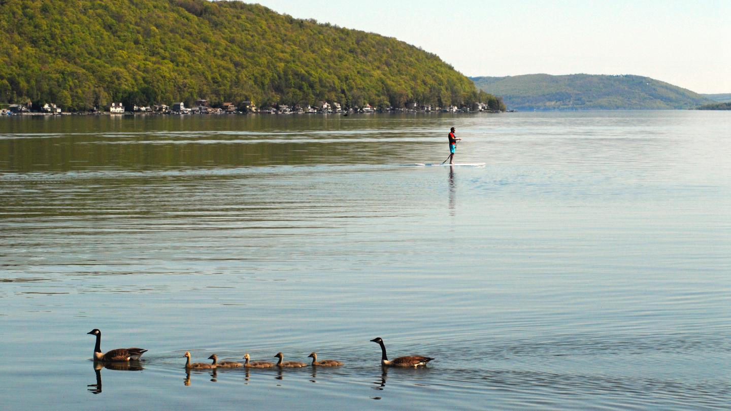 The Complete Guide to Keuka Lake One of the Most Unique Bodies of
