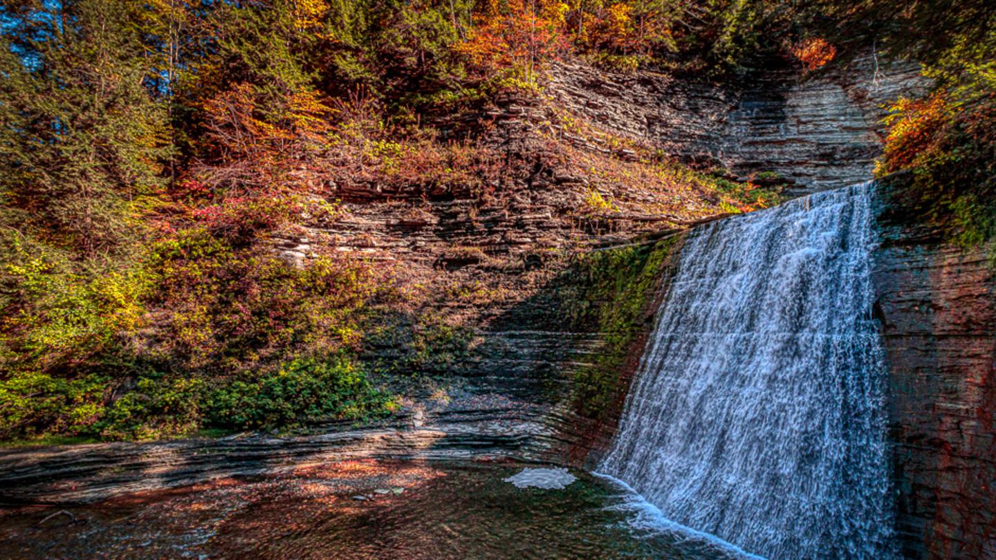 Stony Brook State Park Fall