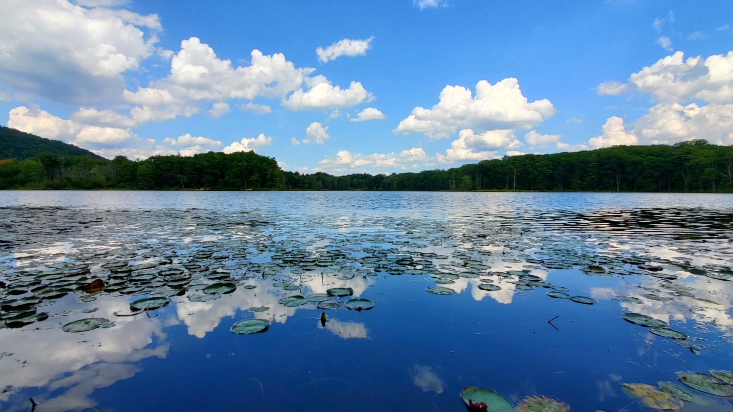 Sanford Lake