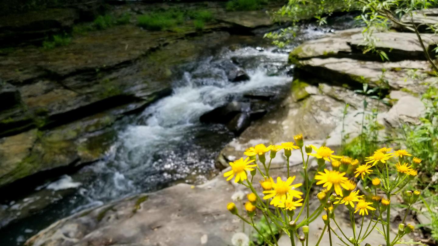 Watkins Glen State Park
