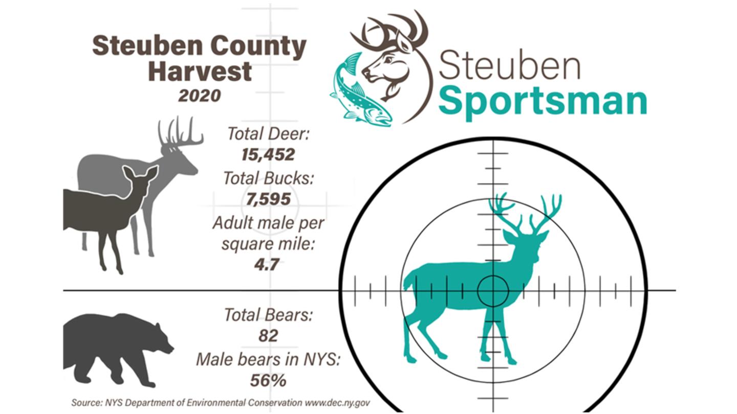 Steuben County 2020 Hunting Harvest