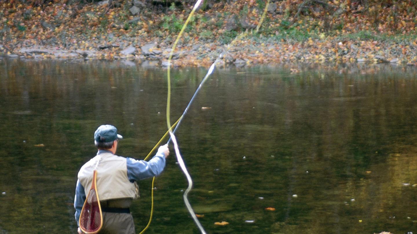 Fly Fishing