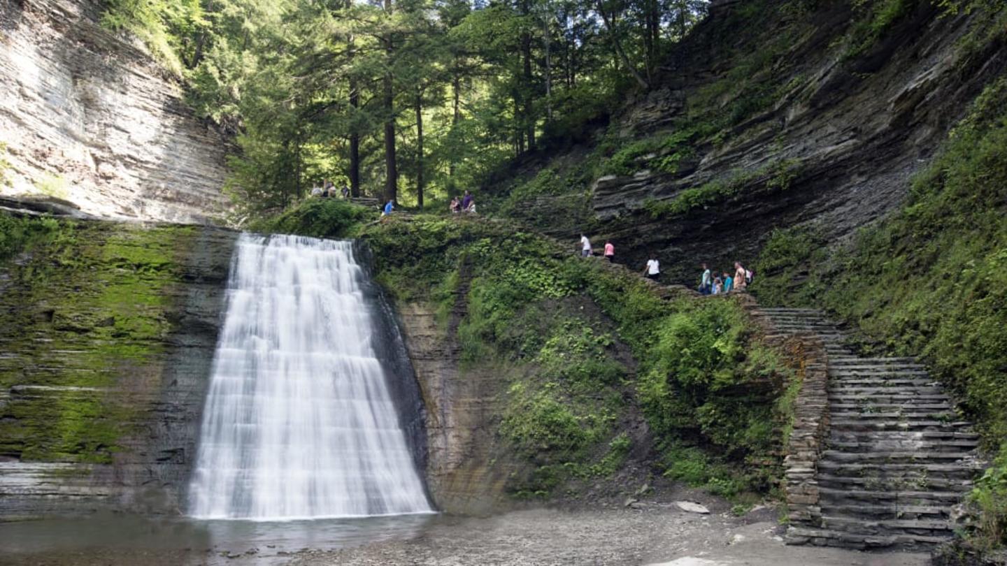 Stony Brook