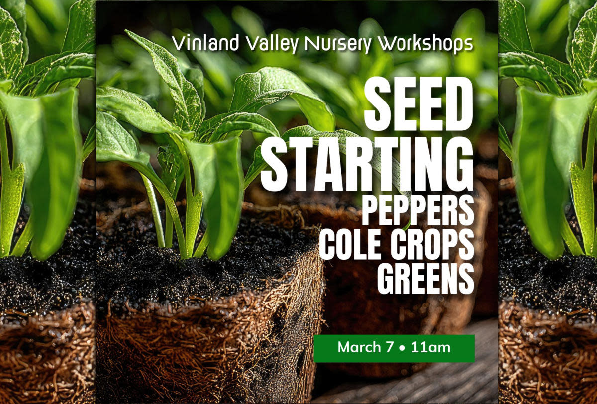 Seed Starting Workshop Vinland