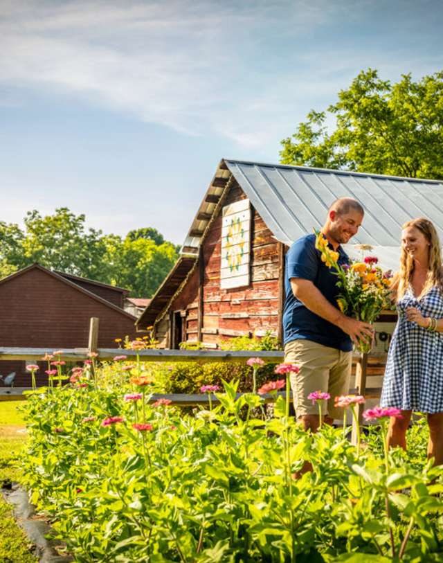 Couple picking flowers