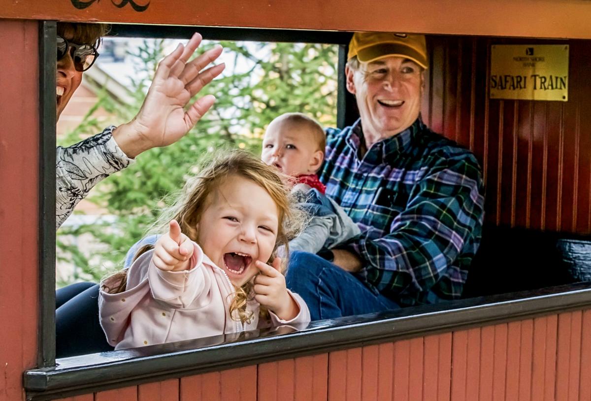 Young child laughing and pointing out the window of a safari train car, with an older man holding a baby and a woman waving beside them.