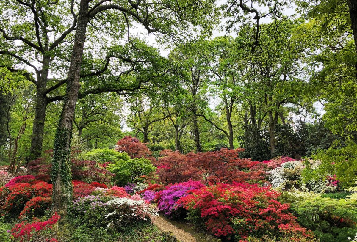 Exbury Gardens - Spring