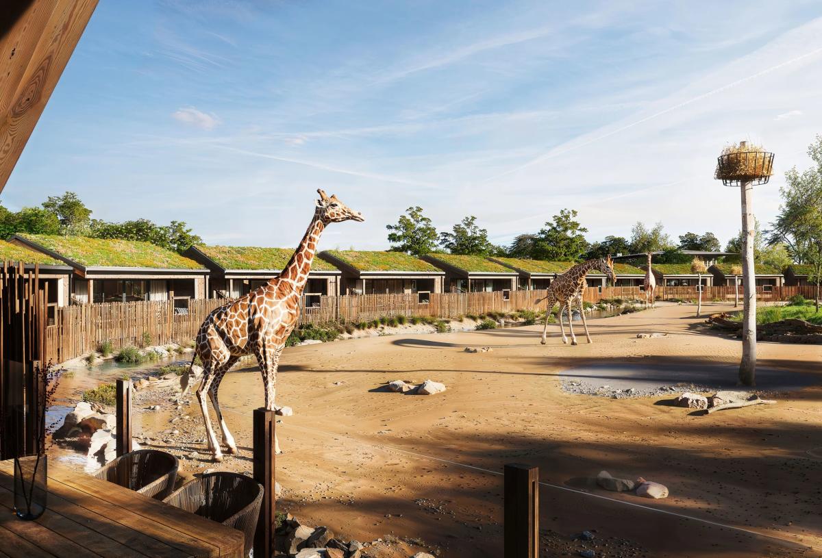Artists Impression of The Reserve at Chester Zoo