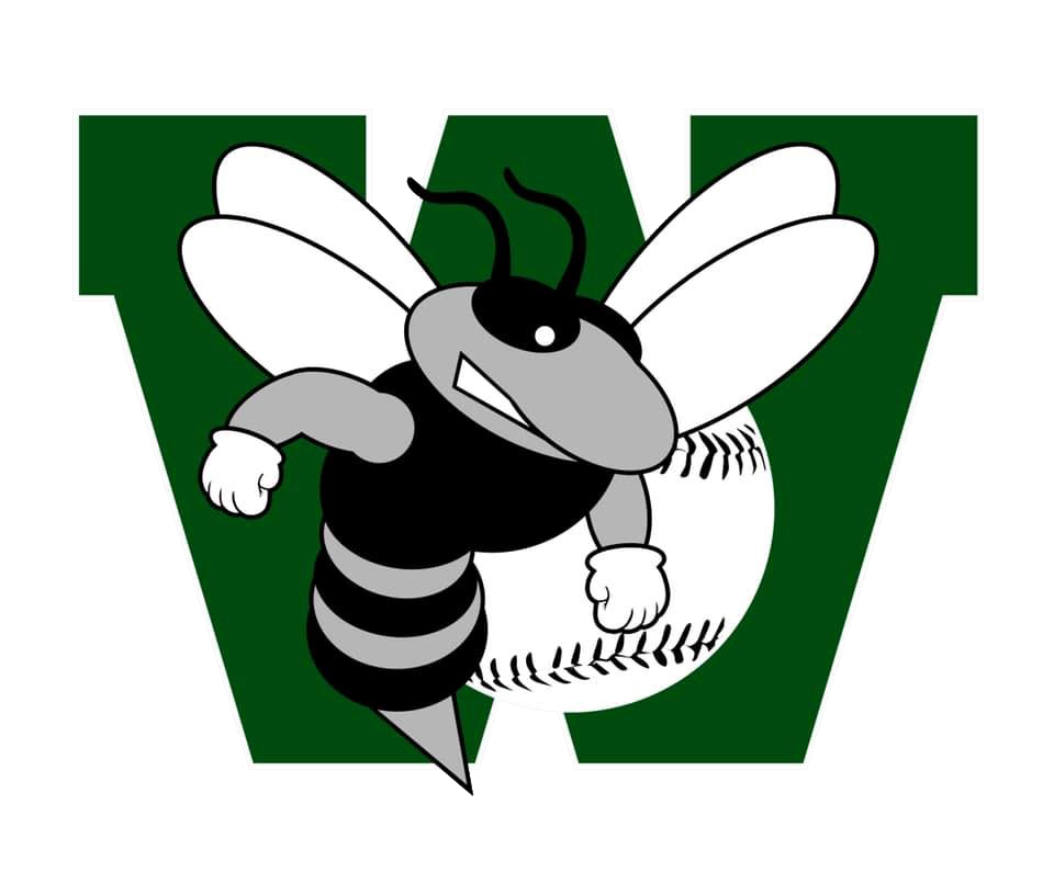 Williamston Stingers Logo