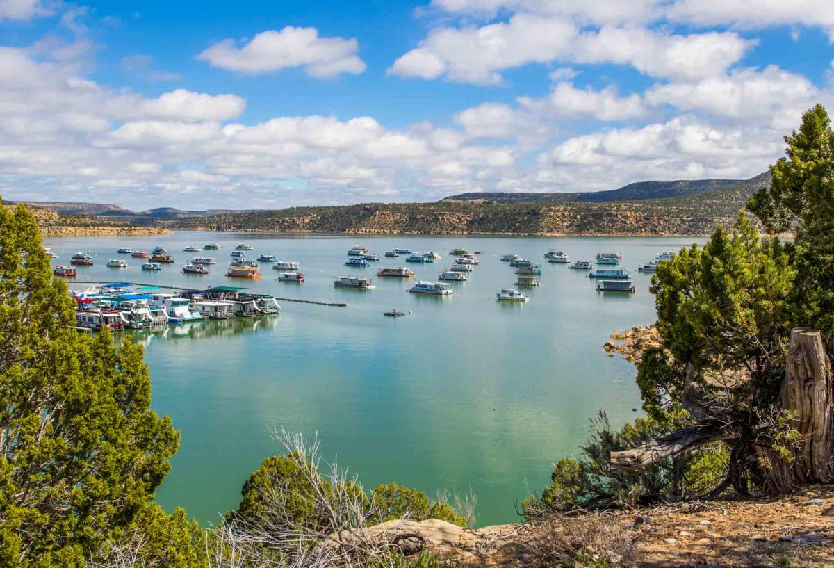 A bright blue lake with many boats anchored or floating on its surface