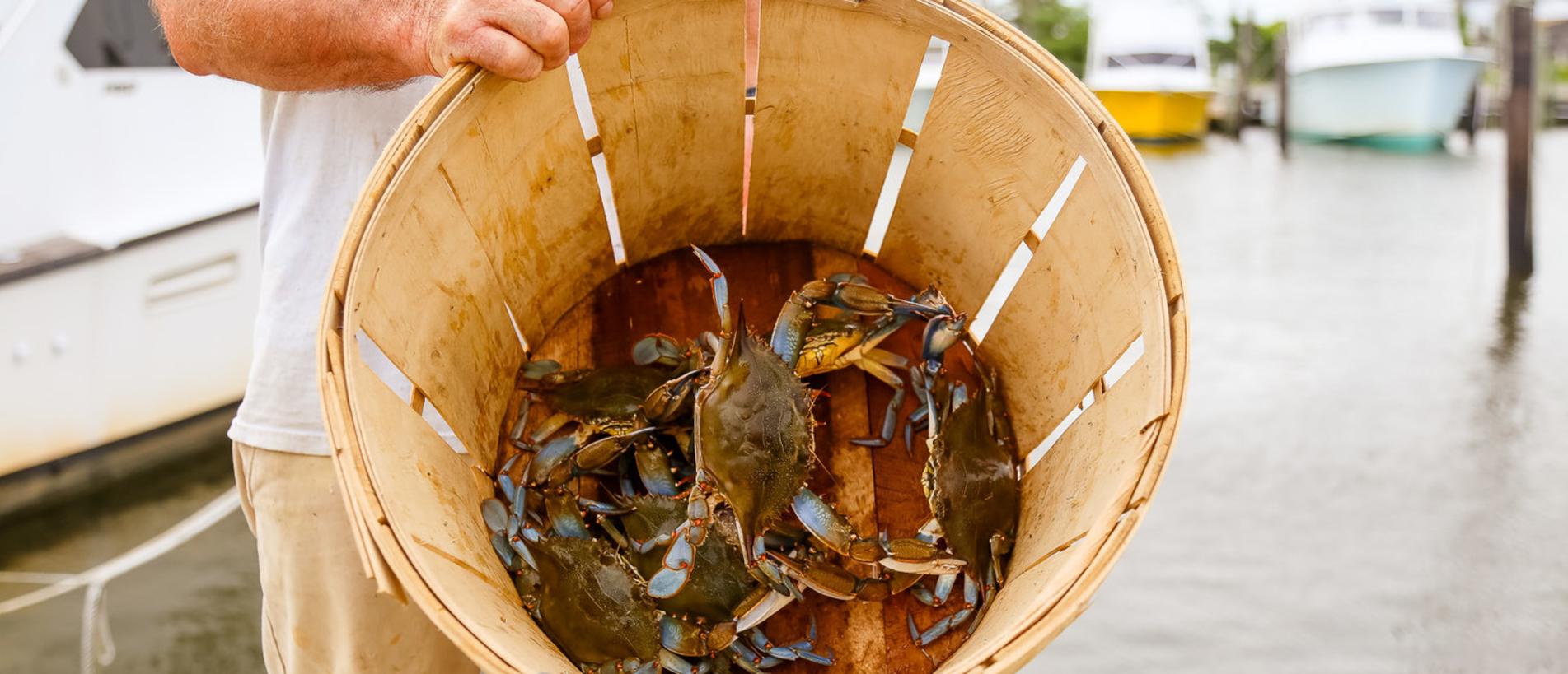 Blue Crab Fishing Charters - All You Need to Know BEFORE You Go (2024)