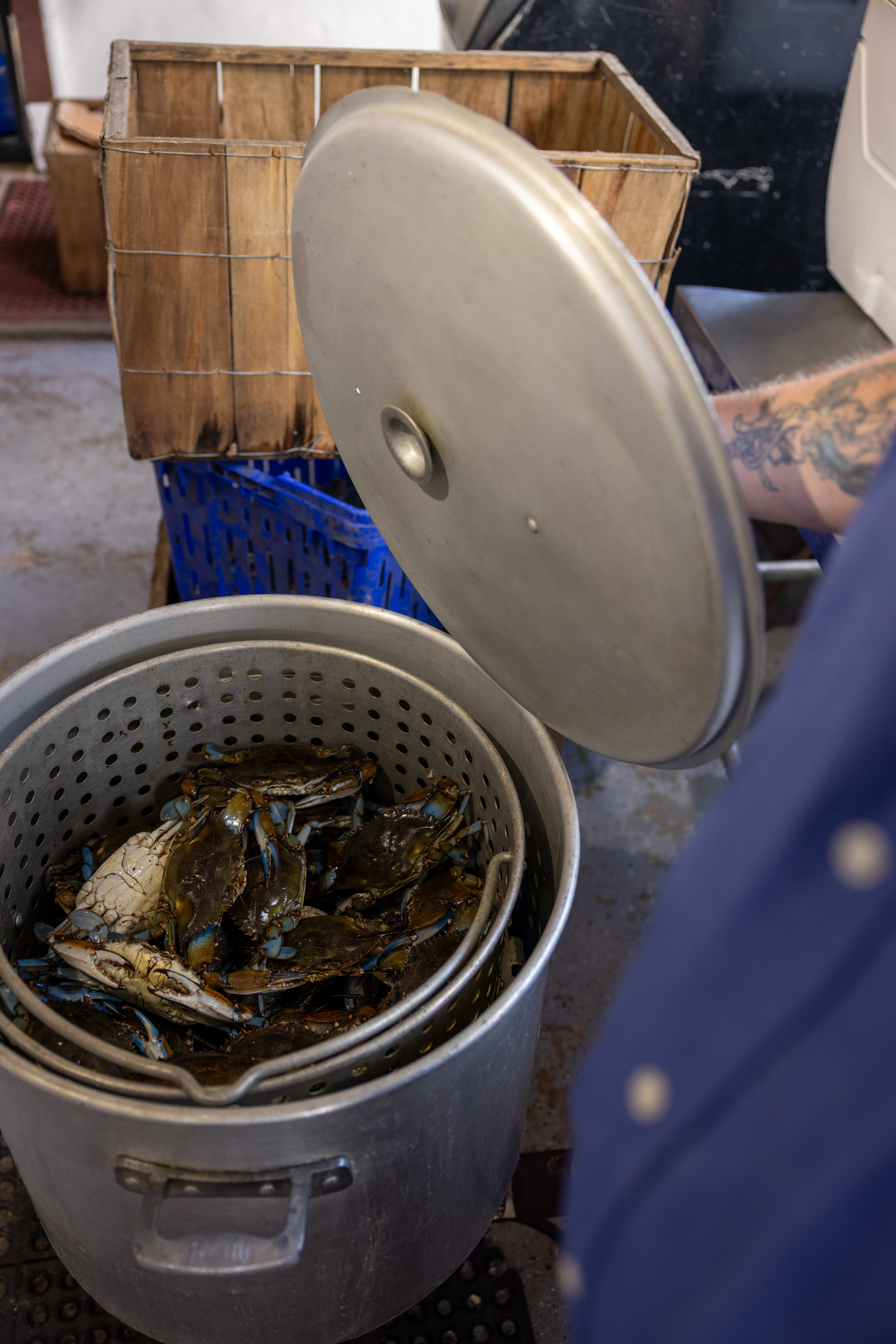 From the Harbor to the Pot at Peace River Seafood in Punta Gorda, Florida