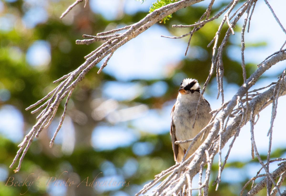 birding hotspots