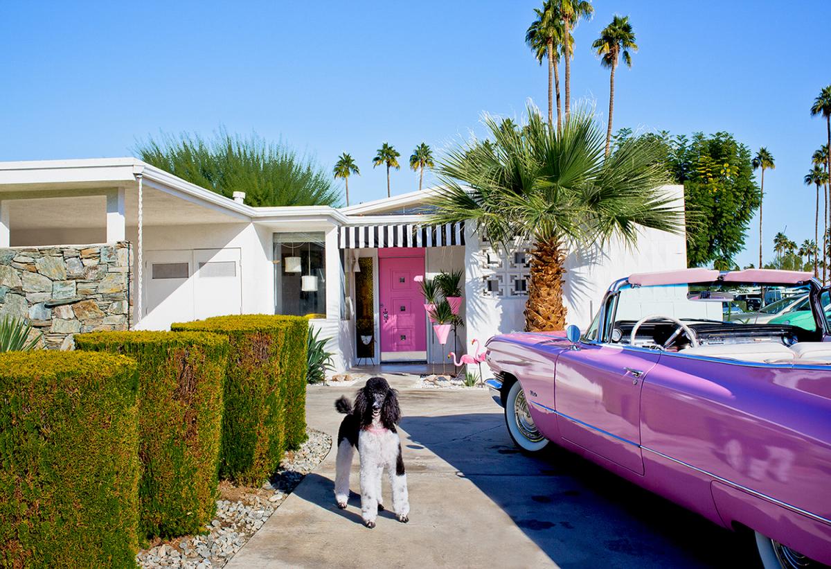 Modernism Week Dogs at Home