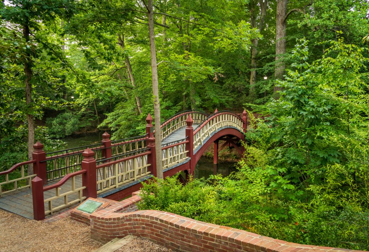 Influencer - Robin LaMonte - William and Mary (5)