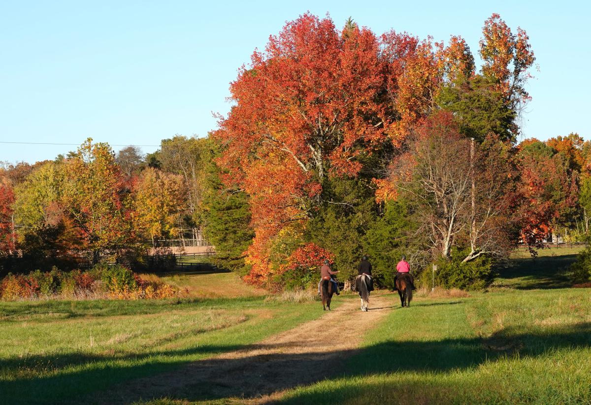 Meadowood SRMA - Horseback Riding - Fall Foliage - Lorton