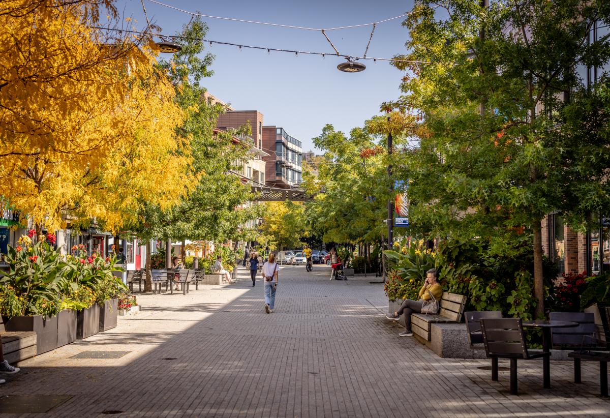 Downtown Commons DC Landing Page